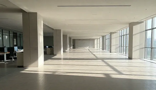 IT服务中软件研发支持的使用与维护建议